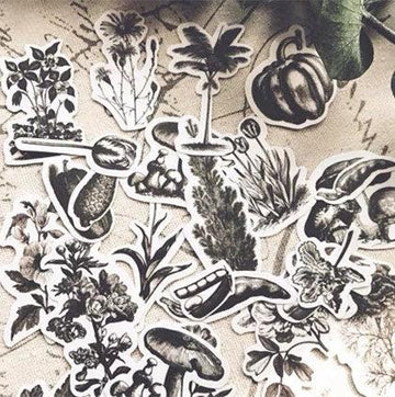 24pcs Vintage Flowers & Plants Stickers Pack, Scrapbook Stickers
