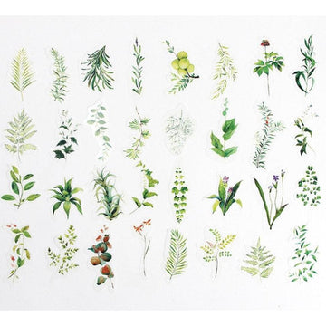 34 Green Plants Washi Stickers Pack , Leaves Stickers