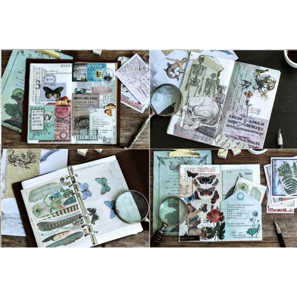 Vintage-inspired nature junk journal page