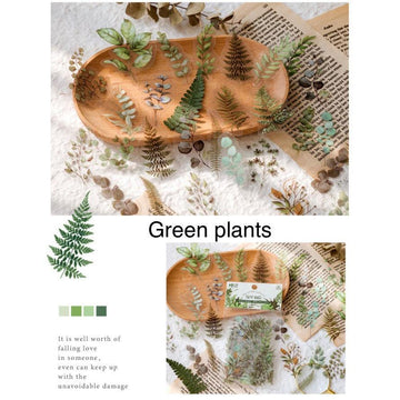 40pcs PET Clear Die-cut Green Plants stickers Pack, Pressed Flower Stickers Pack