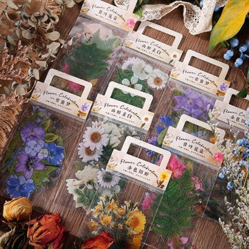 40pcs Pressed Flowers Stickers Pack, Die-Cut Clear Plants Specimen Stickers