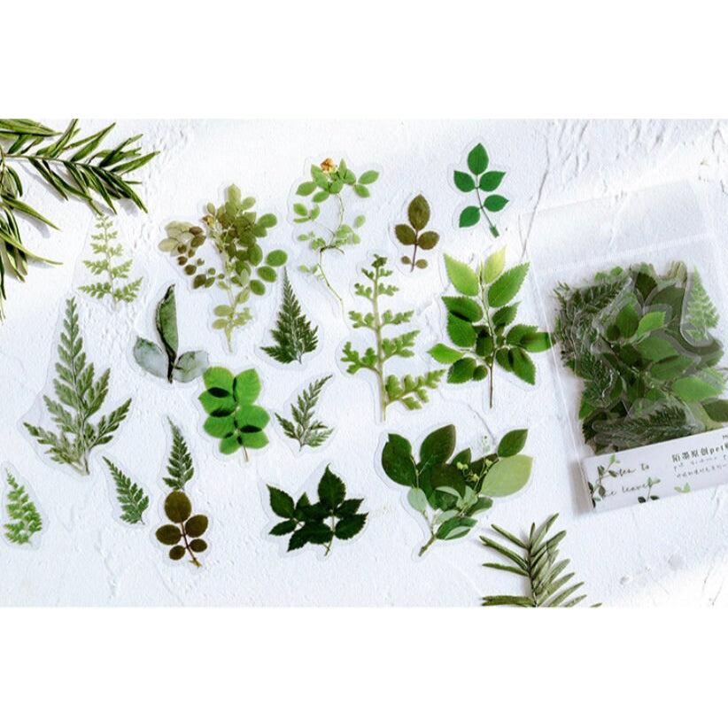 40pcs Stickers Pack Printed Green Leaves stickers, Pressed Plants stickers