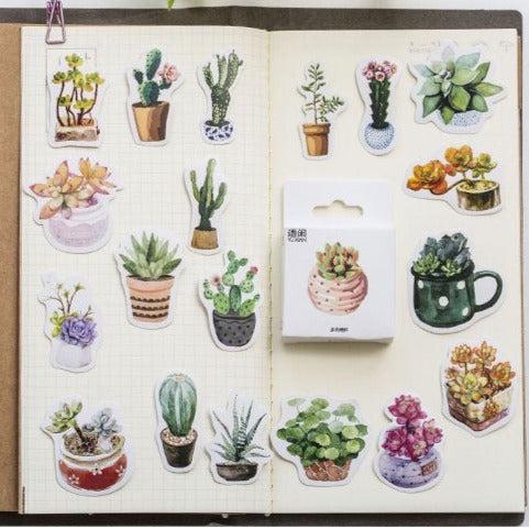 50pcs boxed Plants Stickers, Succulent Stickers Cactus Stickers