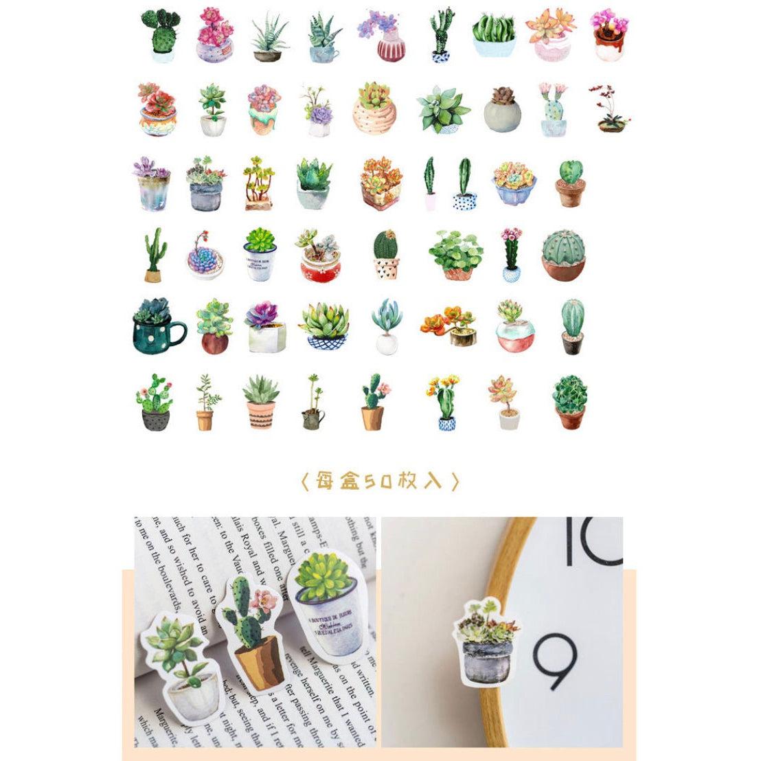 50pcs boxed Plants Stickers, Succulent Stickers Cactus Stickers