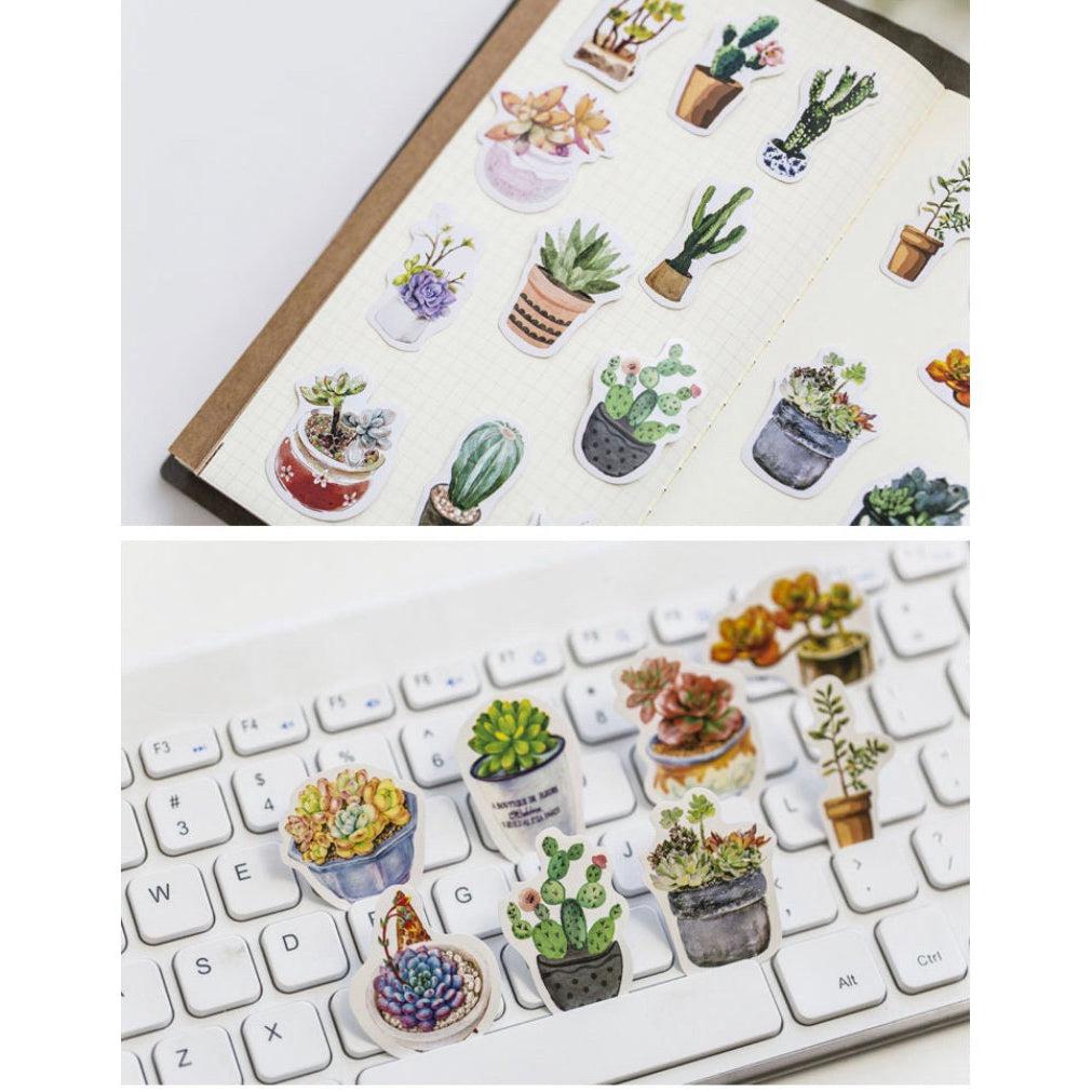 50pcs boxed Plants Stickers, Succulent Stickers Cactus Stickers