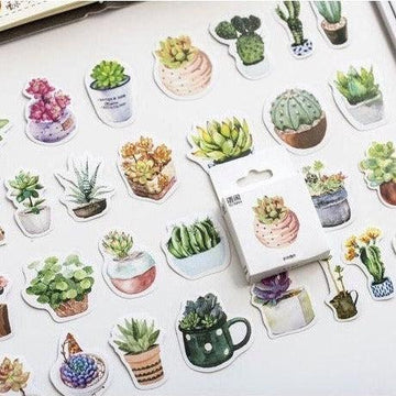 50pcs boxed Plants Stickers, Succulent Stickers Cactus Stickers