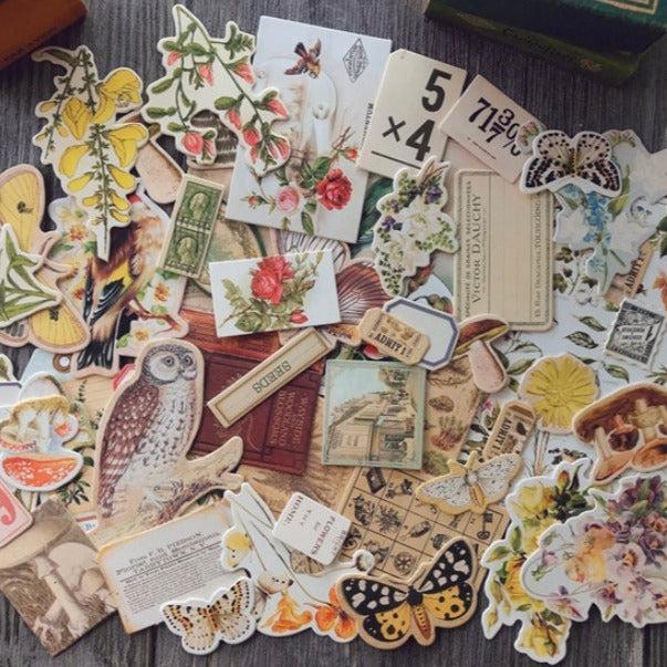 53pcs Junk Journal Ephemeras, Die-cut Thick Cards, Tags