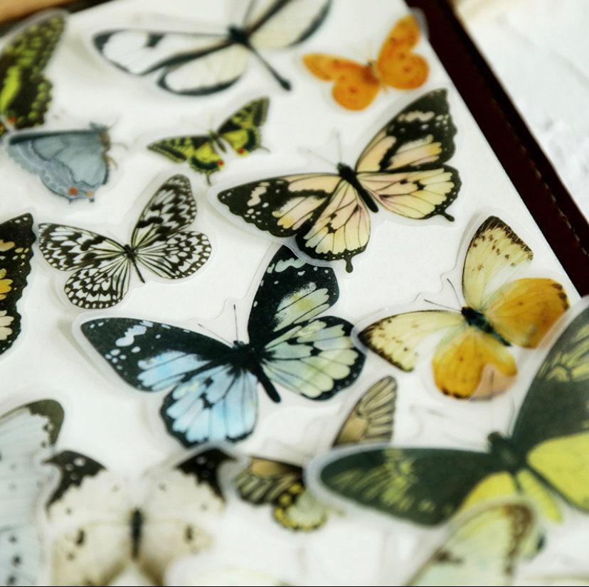 80pcs Translucent Butterfly Sticker Pack, Butterflies Specimens Stickers