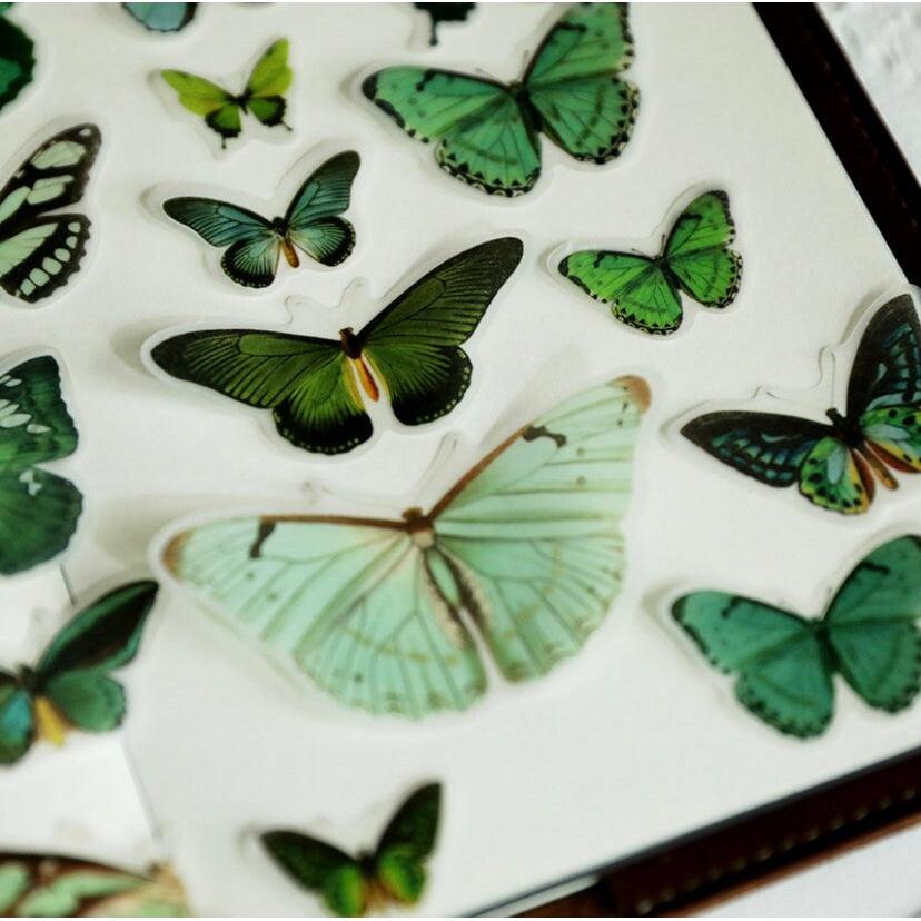 80pcs Translucent Butterfly Sticker Pack, Butterflies Specimens Stickers