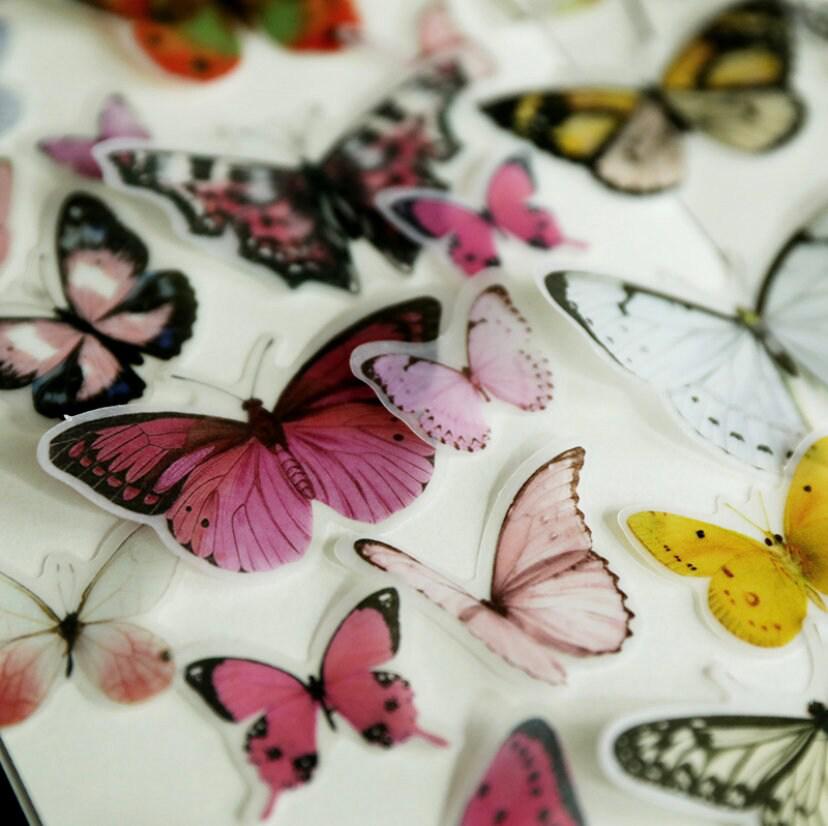 80pcs Translucent Butterfly Sticker Pack, Butterflies Specimens Stickers