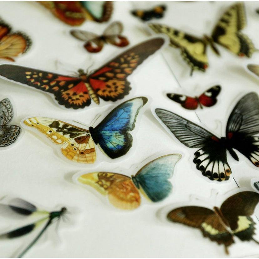 80pcs Translucent Butterfly Sticker Pack, Butterflies Specimens Stickers