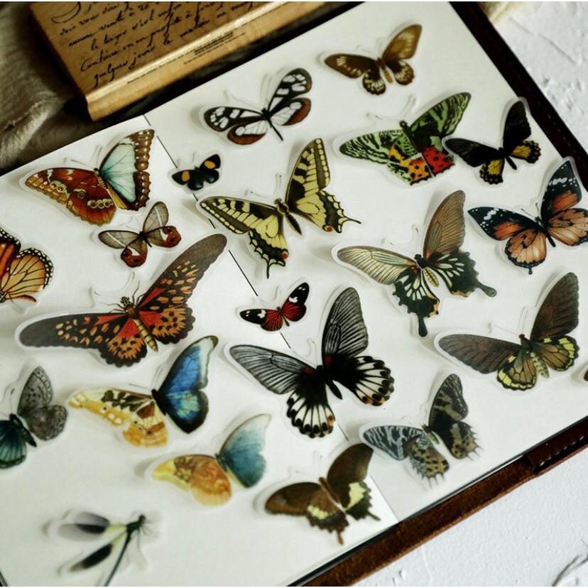 80pcs Translucent Butterfly Sticker Pack, Butterflies Specimens Stickers