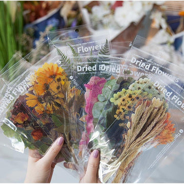 Extra-Large Pressed Flowers Clear Stickers Pack, Die-Cut Plants Specimen Stickers