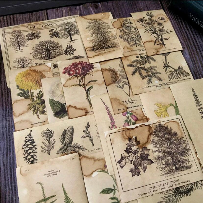 Material Paper - Book of Botany Vintage Plant Scrapbook Paper Book