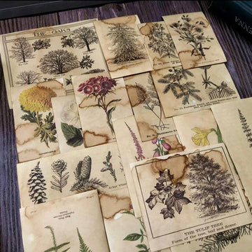 Junk journal kit, Ephemera, Scrapbook Paper, Coffee Dyed Botany