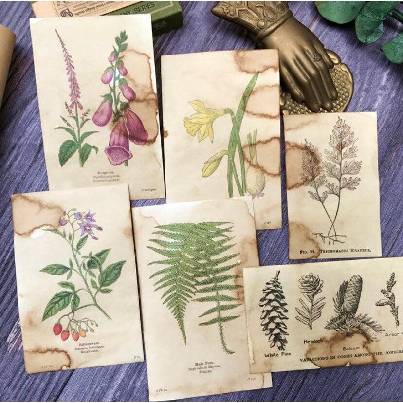 Junk journal kit, Ephemera, Scrapbook Paper, Coffee Dyed Botany