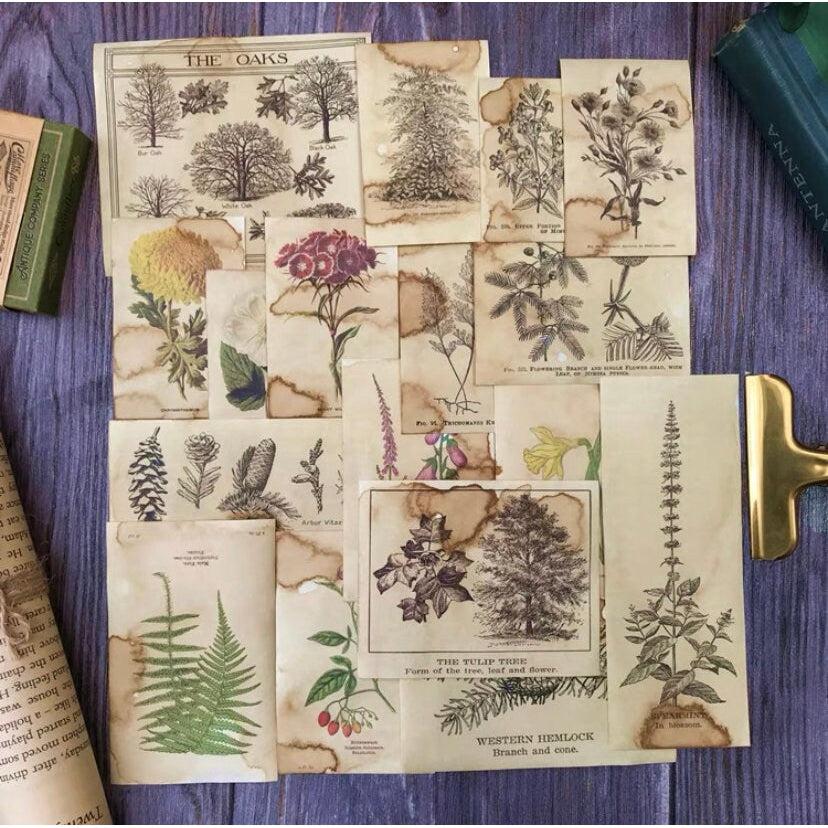 Junk journal kit, Ephemera, Scrapbook Paper, Coffee Dyed Botany