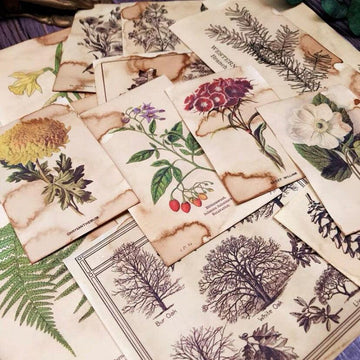 Junk journal kit, Ephemera, Scrapbook Paper, Coffee Dyed Botany