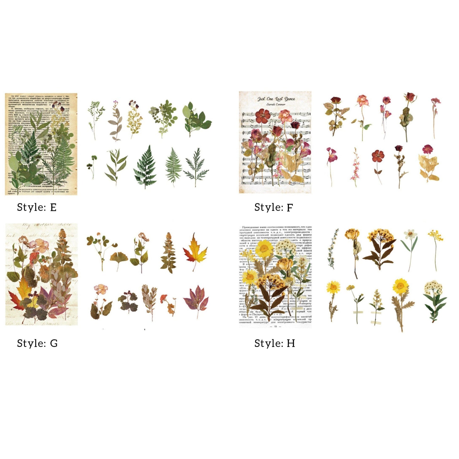 Large Dried Flowers Stickers Pack, Clear PET Pressed Plants Specimen S