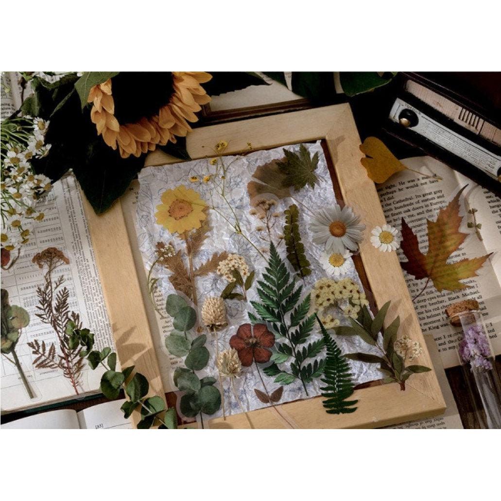 Large Dried Flowers Stickers Pack, Clear PET Pressed Plants Specimen Stickers