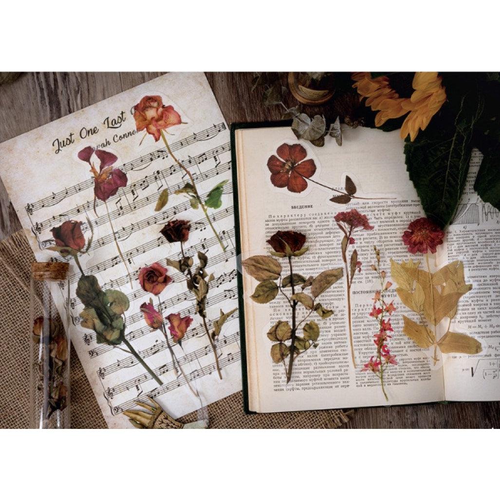 Large Dried Flowers Stickers Pack, Clear PET Pressed Plants Specimen Stickers