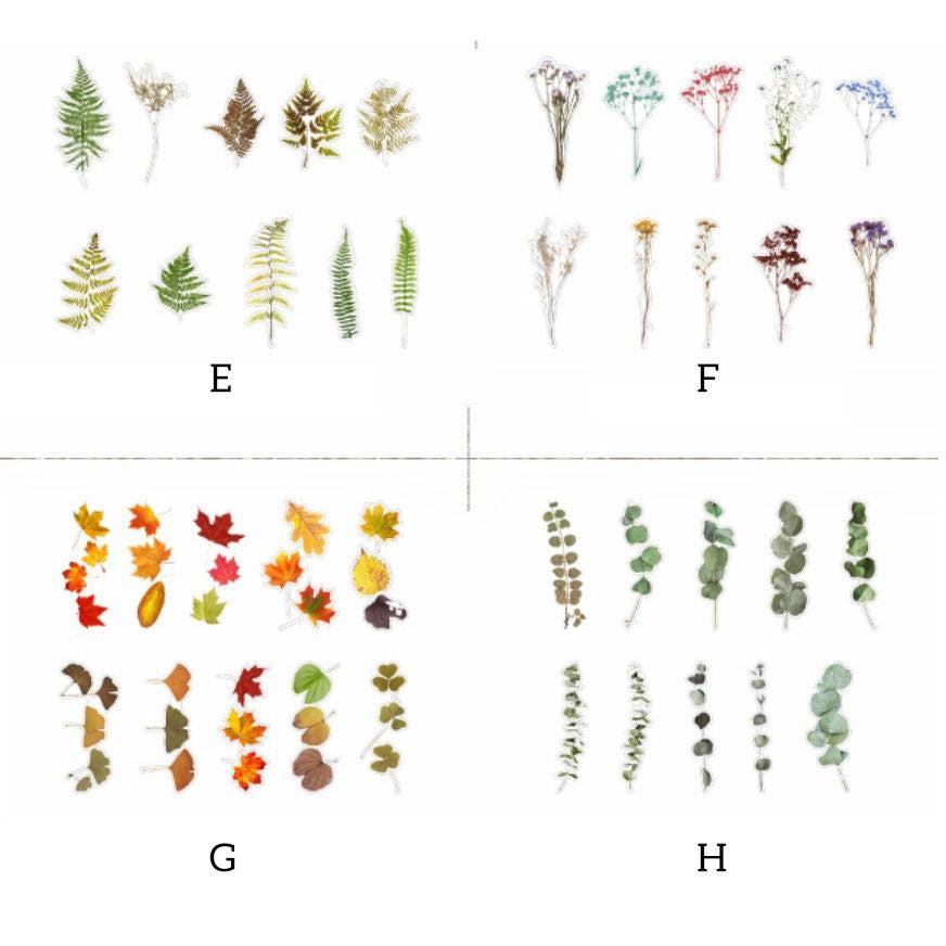 Large Herbarium Stickers Pack, Dried Plants PET Stickers