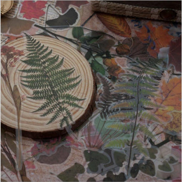 Large Herbarium Stickers Pack, Dried Plants PET Stickers