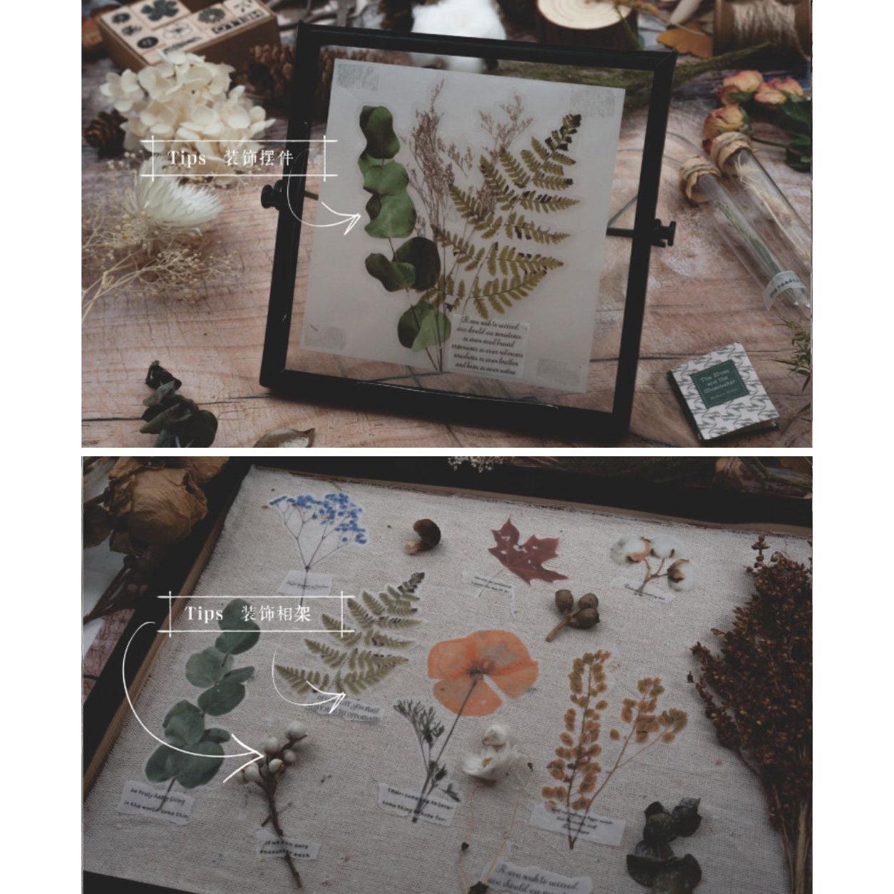 Large Herbarium Stickers Pack, Dried Plants PET Stickers