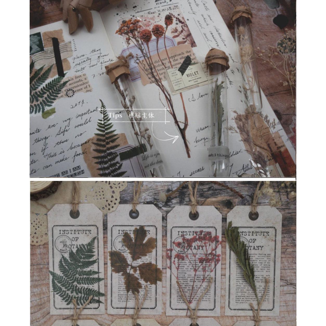 Large Herbarium Stickers Pack, Dried Plants PET Stickers