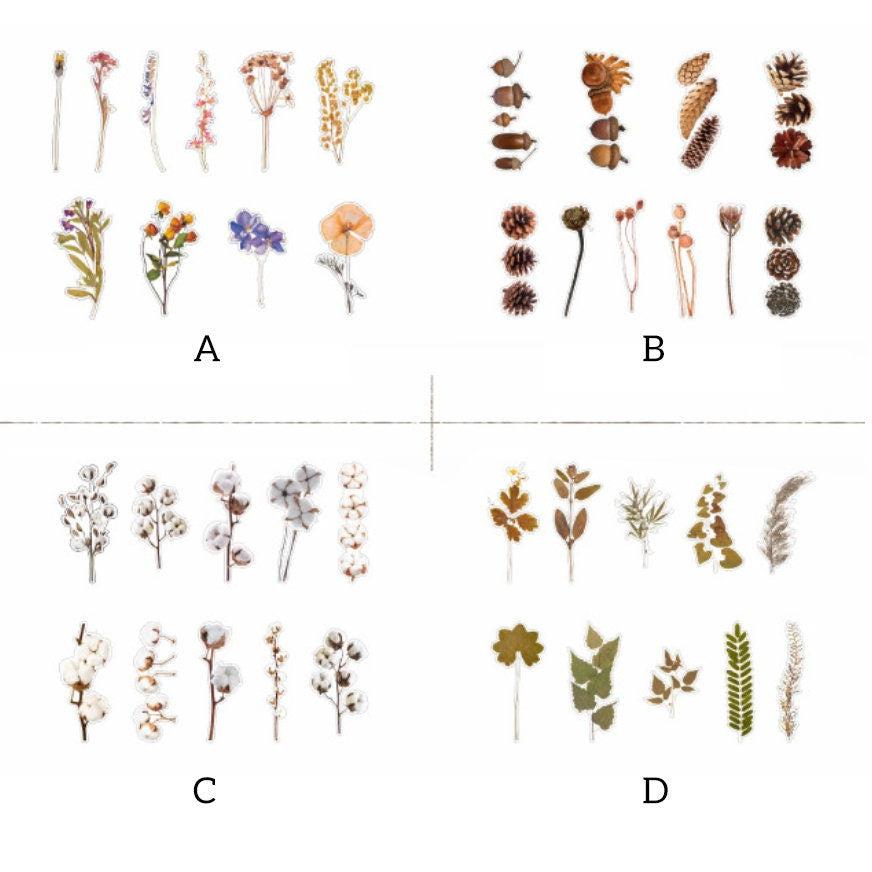 Large Herbarium Stickers Pack, Dried Plants PET Stickers