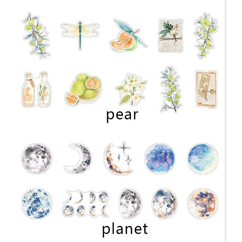 PET Clear Watercolor Paintings stickers, Fruit Stickers Pack