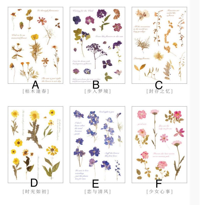 Pressed Flower Stickers Sheet, Dried Flowers Stickers Pack